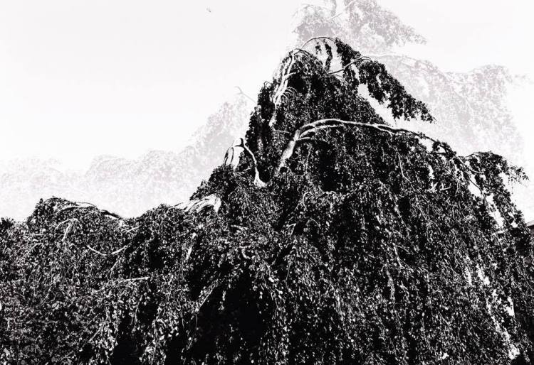 grangegorman-expirement